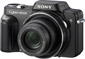 Sony DSC-H10