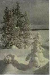 Описание: E:\doc\ukrlit\ukrlit5.files\image046.jpg